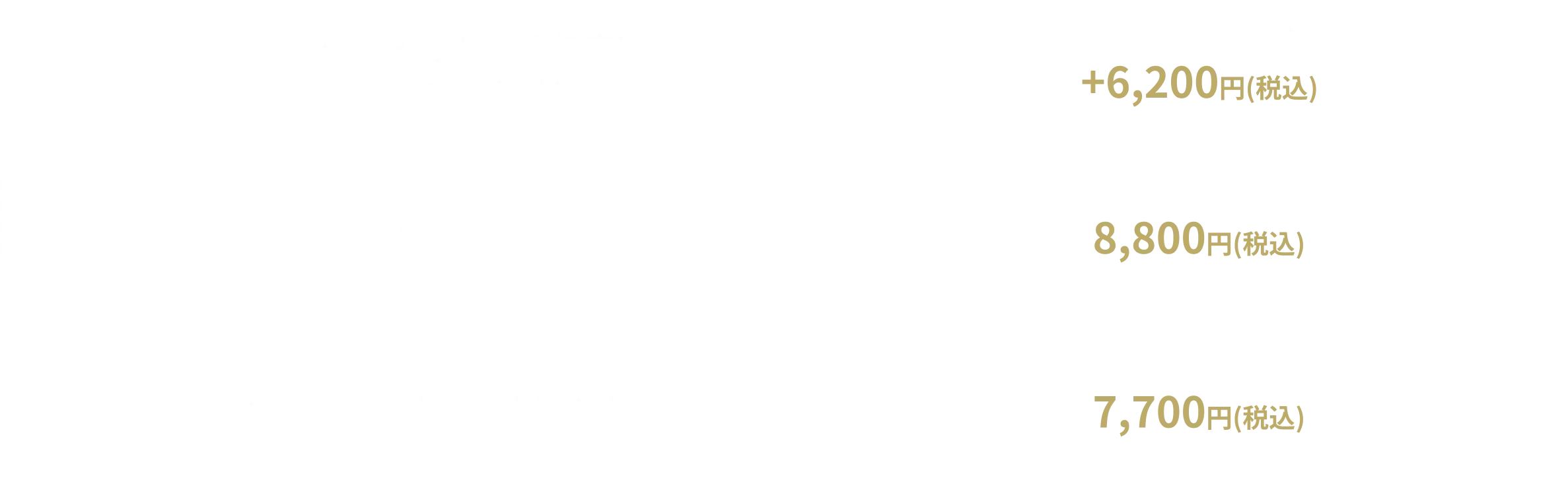 チケット料金表